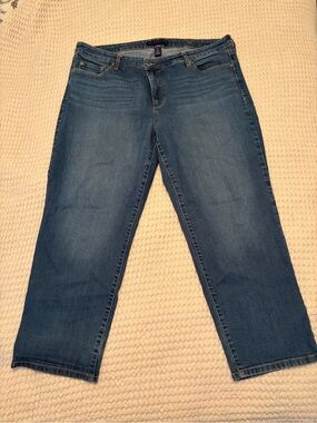 Bandolino Mandie Women's Blue Straight-Leg Jeans size 20w